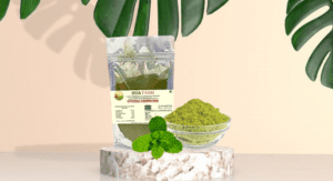 Pahadi Mint (Pudina) Powder